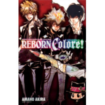REBORN COLORE! ARTBOOK (JAPONES) - SEMINUEVO
