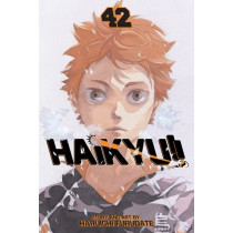 HAIKYU!! 42 (INGLES - ENGLISH)