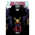 BLEACH 43 (GLE)