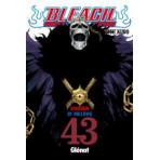 BLEACH 43 (GLE)