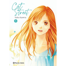 CAT STREET KANZENBAN 01