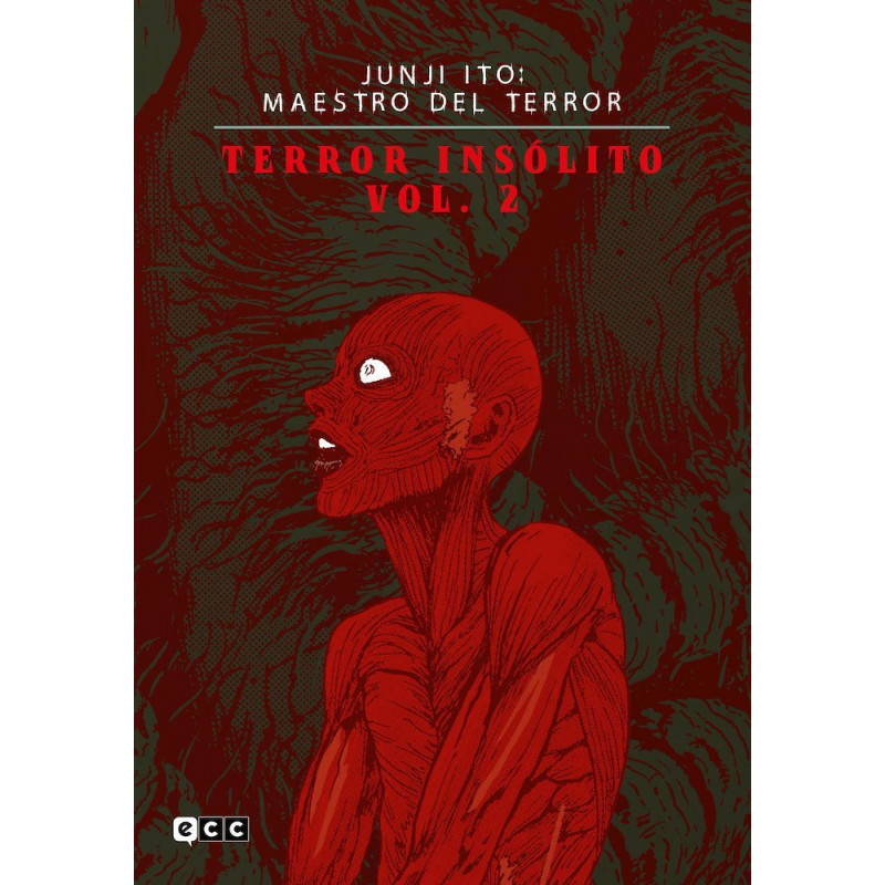 JUNJI ITO: MAESTRO DEL TERROR - TERROR INSOLITO 02